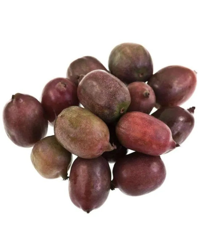 Mini Kiwi (actinidia arguta) KENS RED