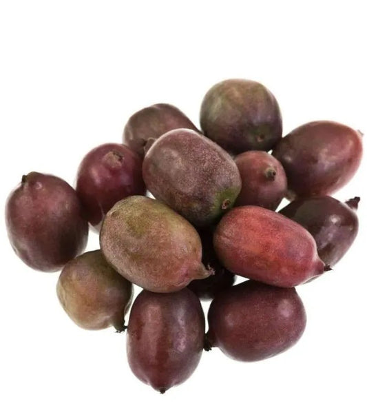 Mini Kiwi (actinidia arguta) KENS RED